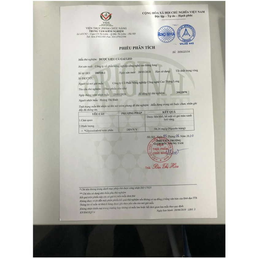4 bịch trà cà gai leo túi lọc Sadu 250g-1kg | BigBuy360 - bigbuy360.vn