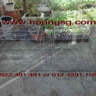 Lồng thỏ chữv 1m2 giá 250k.