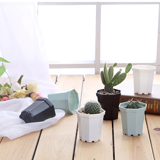 Chậu Hoa Hình Bát Giác Bằng Nhựa Để Bàn