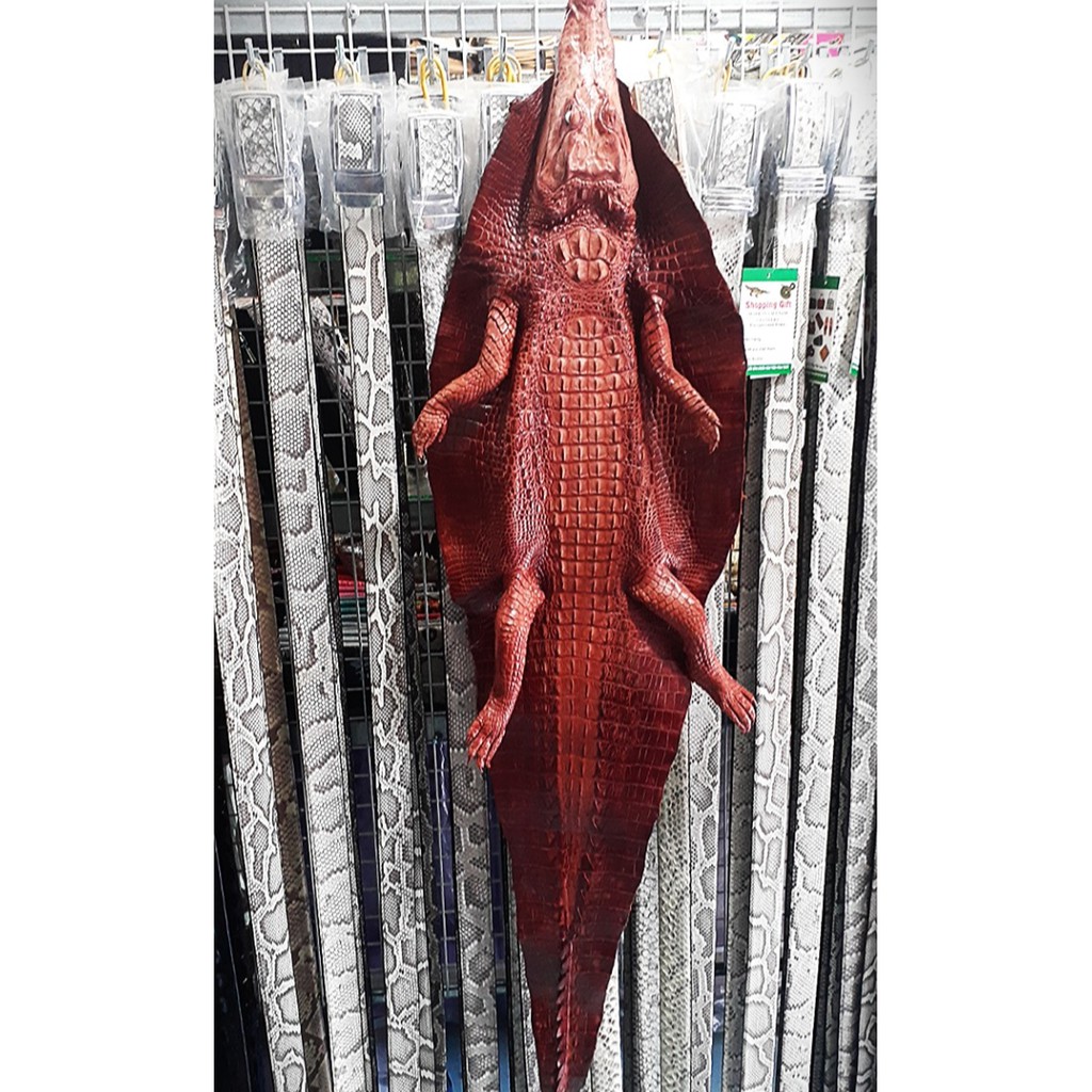 Cá sấu trưng bày nguyên con