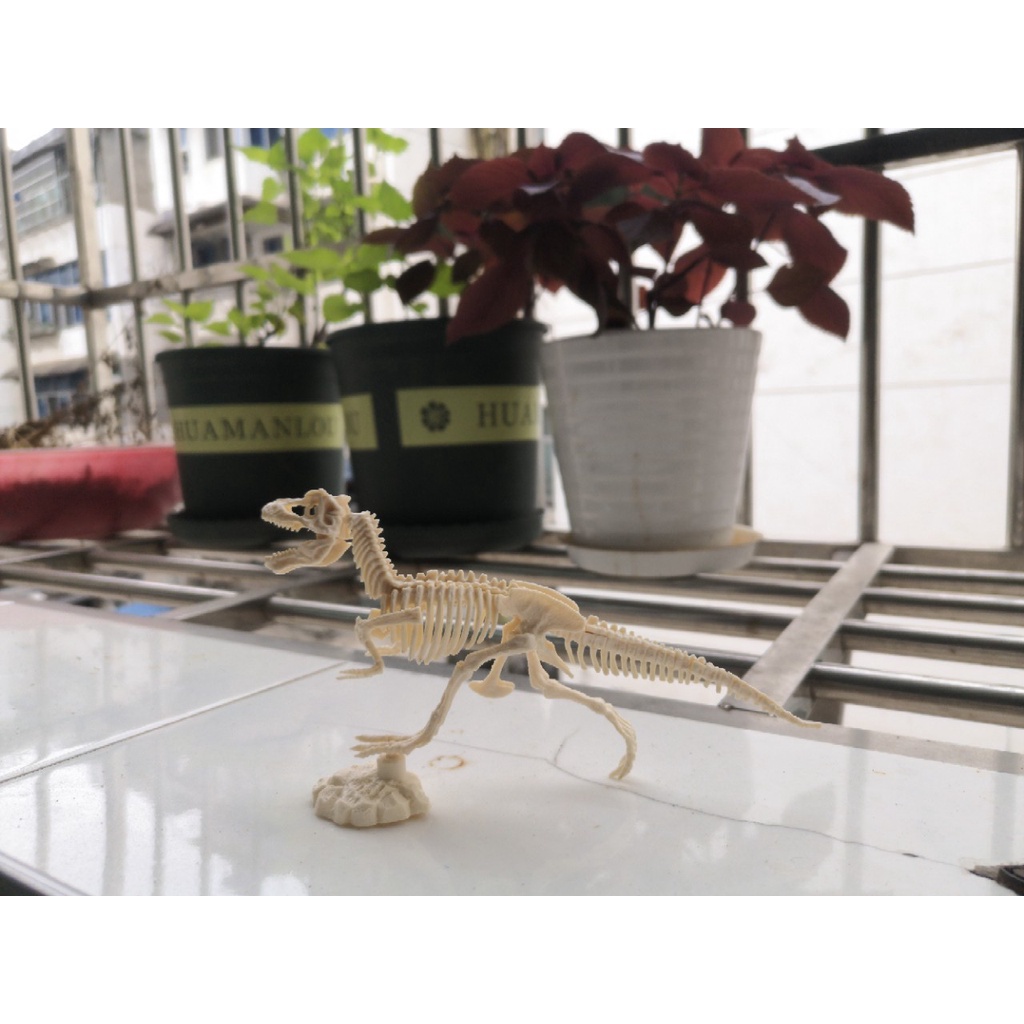 Đồ chơi khảo cổ học động vật kỷ Jura kích thước lớn mô hình bộ xương lắp ghép