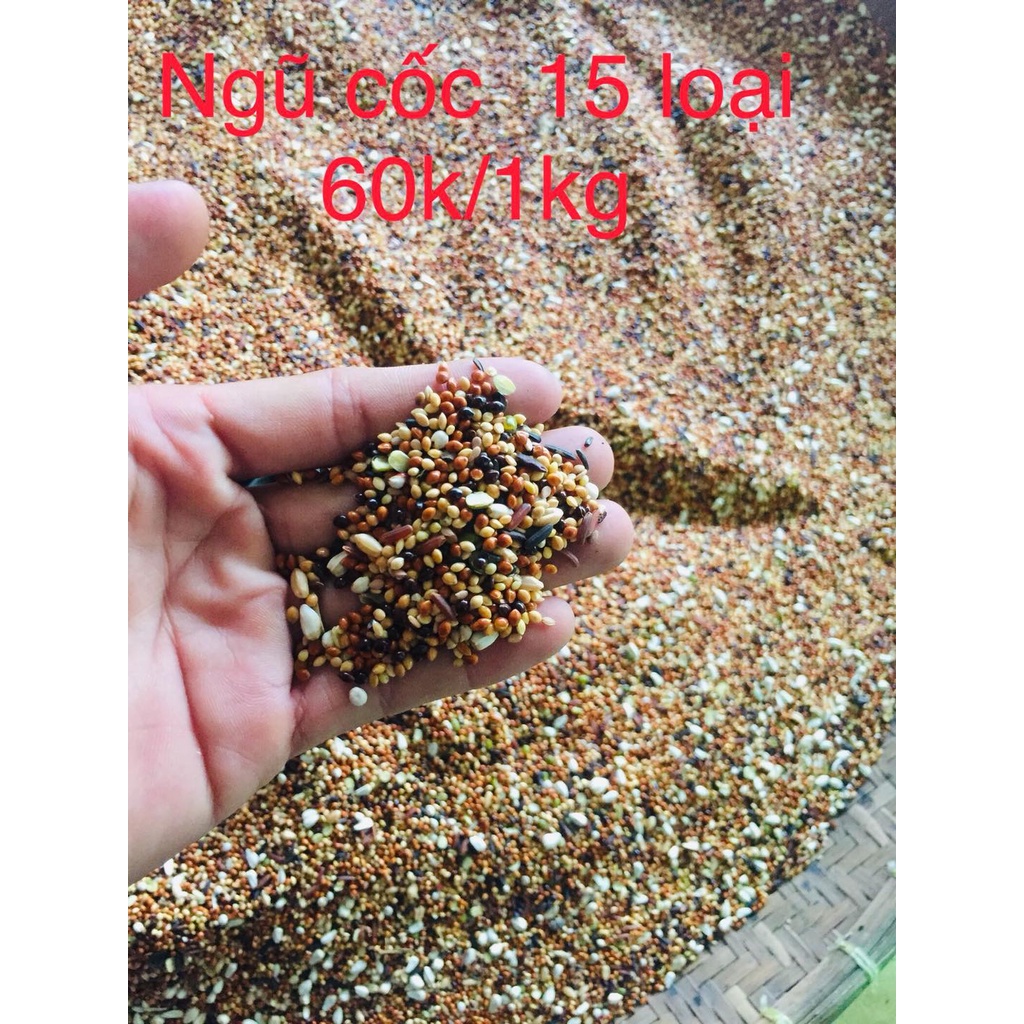 Ngũ cốc 15 loại hạt  túi 2 kg dinh dưỡng cho Cu gáy khỏe mạnh