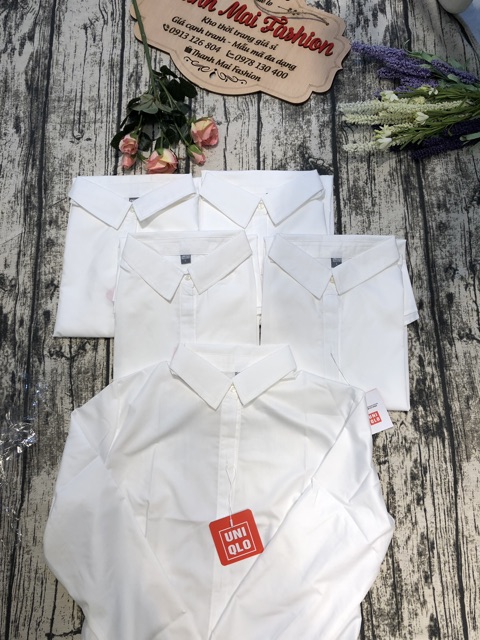 Bán sỉ áo sơ mi trắng cho nữ | BigBuy360 - bigbuy360.vn