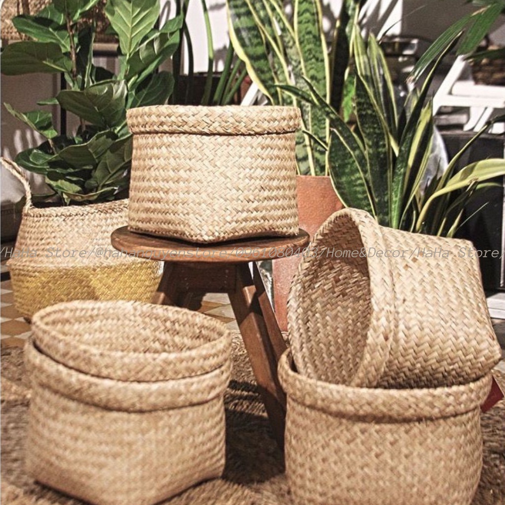 Thúng Cói Decor Cây Cảnh - Giỏ Cói Trồng Cây GCD02-1