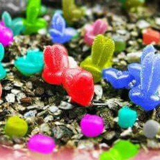 Combo Thỏ: 2 gói hạt giống ( 1 gói Cỏ Đuôi Thỏ + 1 gói Cây Tai Thỏ mix )