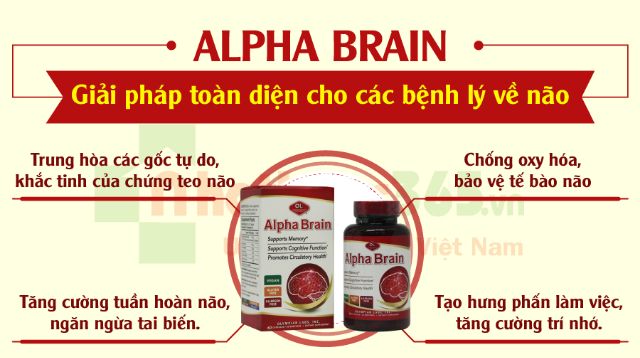 [ CÓ TEM NHẬP KHẨU] Alpha Brain – Viên uống bổ não, hỗ trợ tuần hoàn não