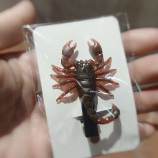 Kẹp tóc con bò cạp giả/phụ kiện trang trí hallowen