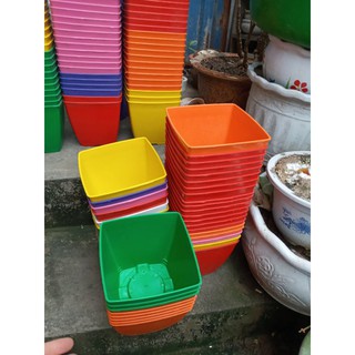 SIÊU PHẨM CHẬU NHỰA VUÔNG ĐƯỜNG KÍNH 16cm
