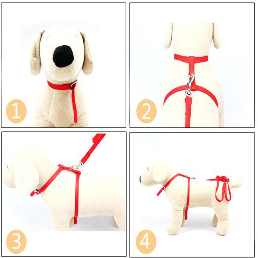 Đai lưng kèm dây dắt mèo cưng tiện dụng