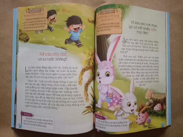 Sách - Hỏi gì cũng biết (Bí mật từ thực vật) - 39k | BigBuy360 - bigbuy360.vn