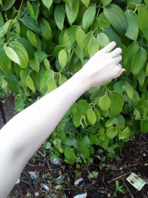 Kem body Coco Blue | BigBuy360 - bigbuy360.vn