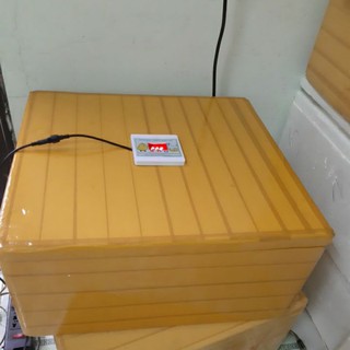 Máy ấp trứng đảo tay và tự động  ấp trứng chim Trĩ, Cút, Bô câu, Gà Vịt( đã bao gồm hộp xốp )