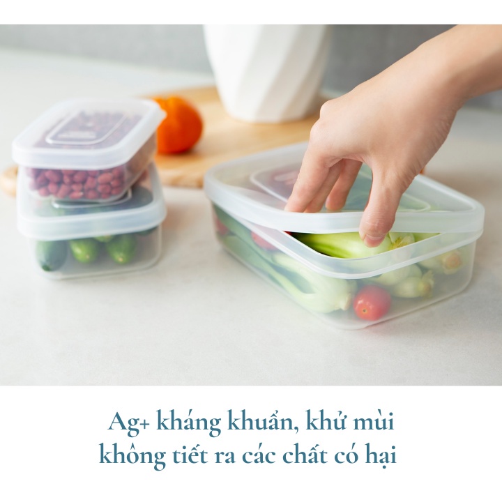 Hộp nhựa đựng đồ ăn cho bé, cơm văn phòng, bảo quản thực phẩm Inochi Hokkaido chữ nhật cao cấp