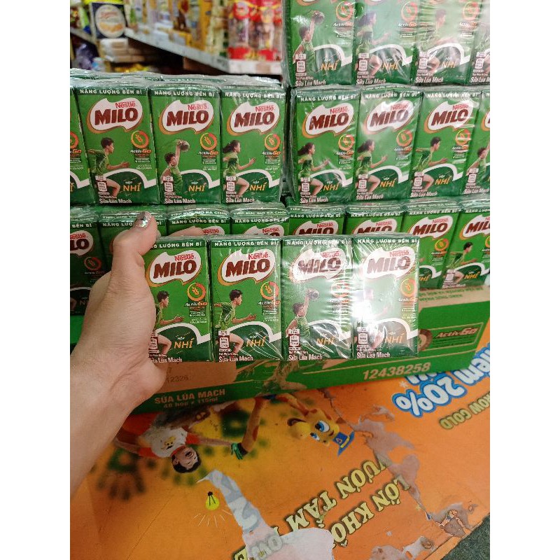 Thùng 48h Sữa milo nước 110ml