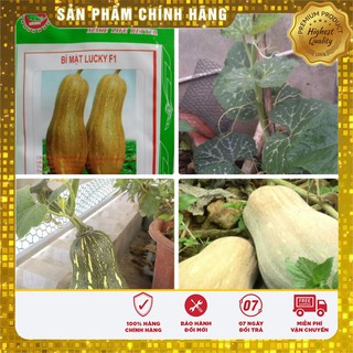 Hạt giống Bí mật (bí ngô mật)