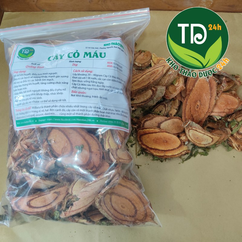 Cây cỏ máu Quảng Bình, bổ huyết, giúp tăng cân, điều hòa kinh nguyệt, loại bỏ chứng đau lưng  | Kho thảo dược 24h