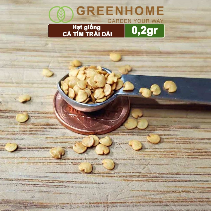 Hạt giống Cà tím trái dài ,gói 0,2gr, dễ trồng, năng suất cao T13 |Greenhome