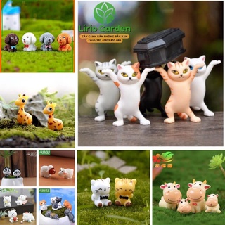 phụ kiện các con vật trang trí tiểu cảnh , sen đá , xương rồng terrarium