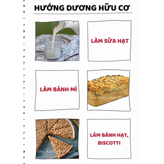 Hướng dương hữu cơ Muhle