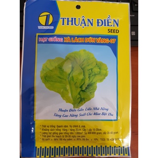 Hạt giống xà lách dún vàng thuận điền