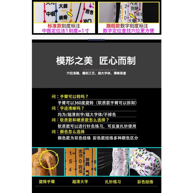 ✅Zhenghe Mô Hình Châm Cứu Cơ Thể Người Mẫu Mười Hai Người Mẫu Mã Trung Quốc Châm Cứu Da Nhỏ