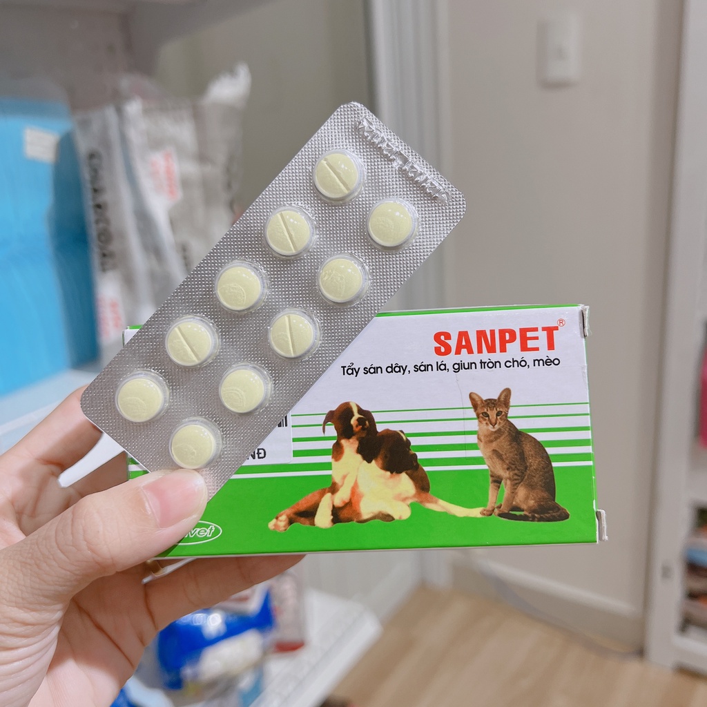 tiu diê.ttt run sánnn ngu ngốc