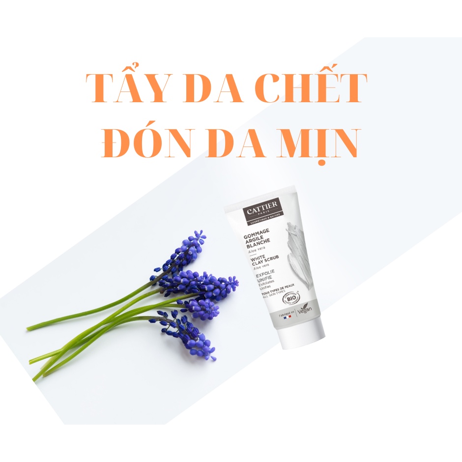 (Bill Pháp) Tẩy da chết CATTIER Clay Scrub 30ml