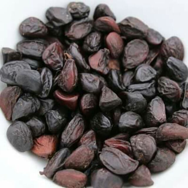12 Hạt dổi