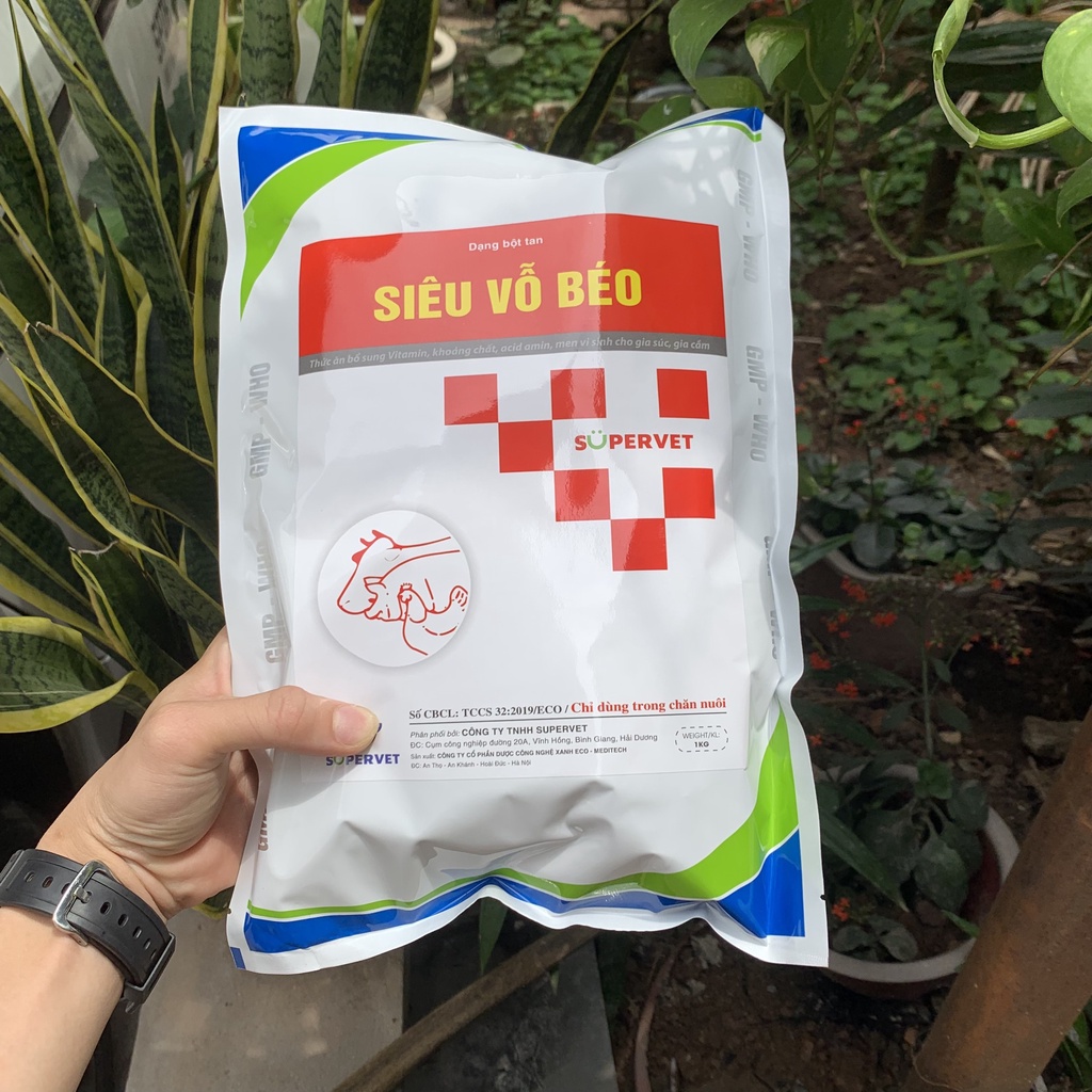 Vỗ Béo Vật Nuôi Chuẩn Công Ty SuperVet Bổ Sung Dinh Dưỡng Giúp Giảm Còi Cọc Gia Súc Gia Cầm Mau Lớn