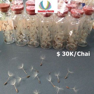 Hoa Bồ Công Anh