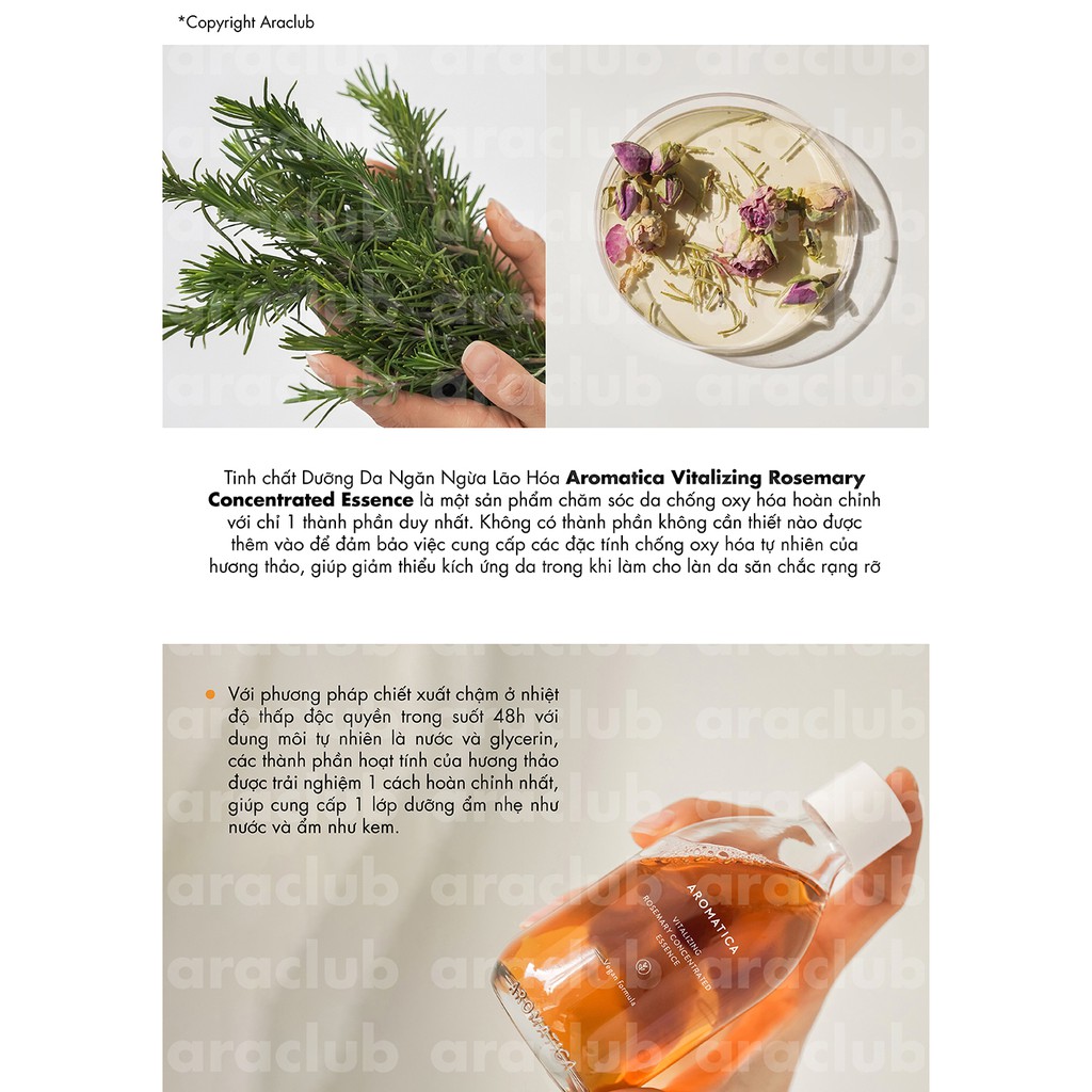 Tinh Chất Dưỡng Da Giữ Ẩm Aromatica Vitalizing Rosemary Concentrated Essence 100ml