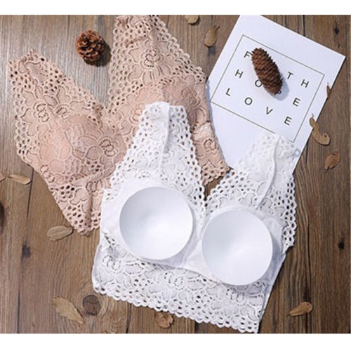 Áo lót thời trang phối ren nhiều màu sắc cuốn hút dành cho nữ