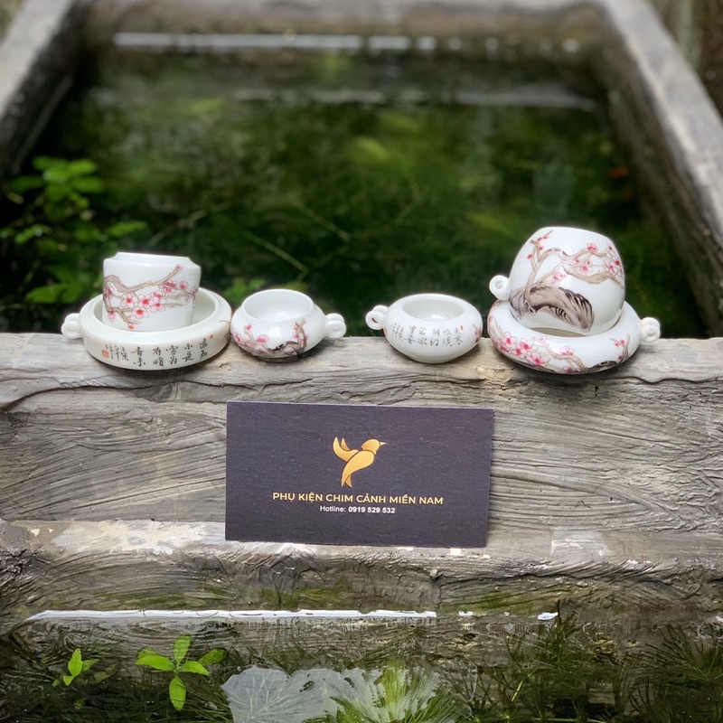 Cóng chim vẽ tay HOA - Cửu Chính Đường