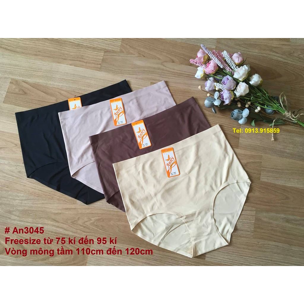 Quần lót bigsize hàng cao cấp Anny 3045