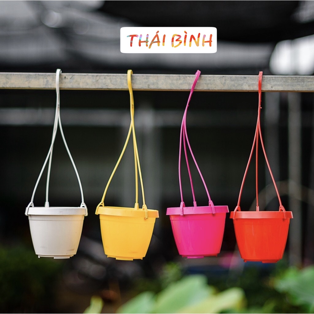 Combo 10 chậu treo mini GIÁ TẠI XƯỞNG (Kèm dây treo)