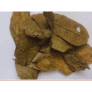 500g lá muồng trâu khô,