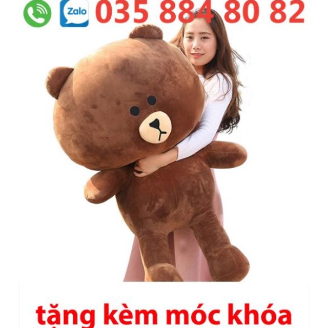 Gấu bông brown khổ 1m2 cao 1m