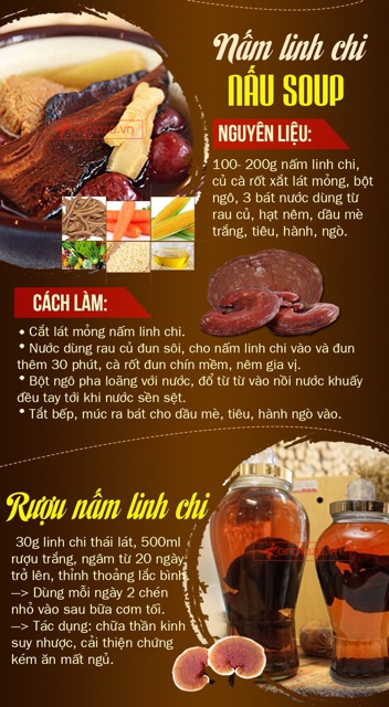 [SỈ TẬN GỐC] Nấm Linh Chi Đỏ Hàn Quốc 1kg