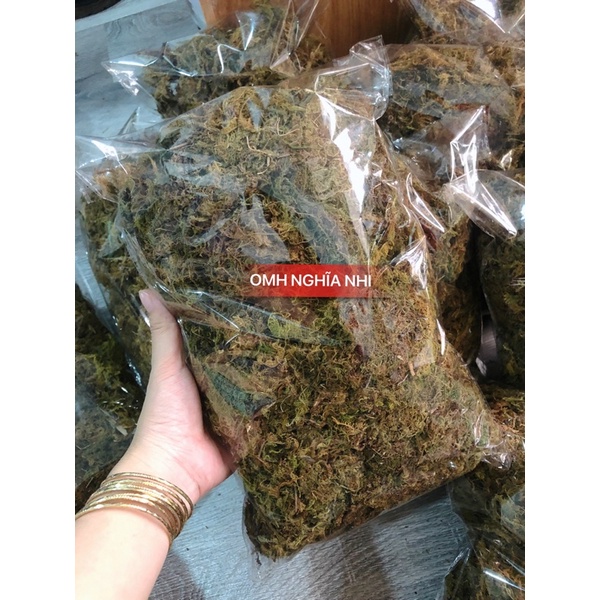 RÊU RỪNG GÓI_DƠN