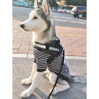 Quần áo chó lớn husky mùa xuân và mùa thu mỏng phần lông vàng vừa chó lớn chó co
