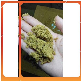 [Siêu Rẻ] [1Kg]Cát Vàng Nắng Cho bể Thuỷ Sinh [TS Online37]