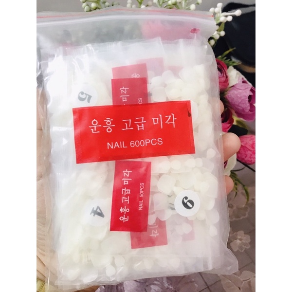 Móng Úp Chân HSM Móng Úp Chuẩn Phom 504 Móng