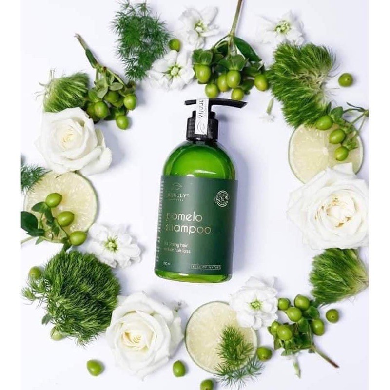 Dầu Gội Bưởi Vijully chính hãng, Ngăn rụng tóc, kích thích mọc tóc và phục hồi hư tổn ( free ship) | BigBuy360 - bigbuy360.vn