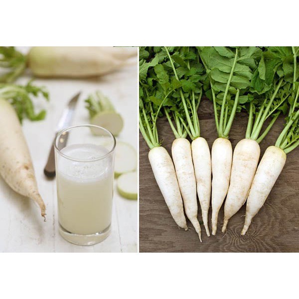 Hạt Giống Củ Cải Trắng F1 Loại Siêu Dễ Trồng kháng sâu bệnh năng xuất cao ( gói 100gram , 200gram, 500gram)