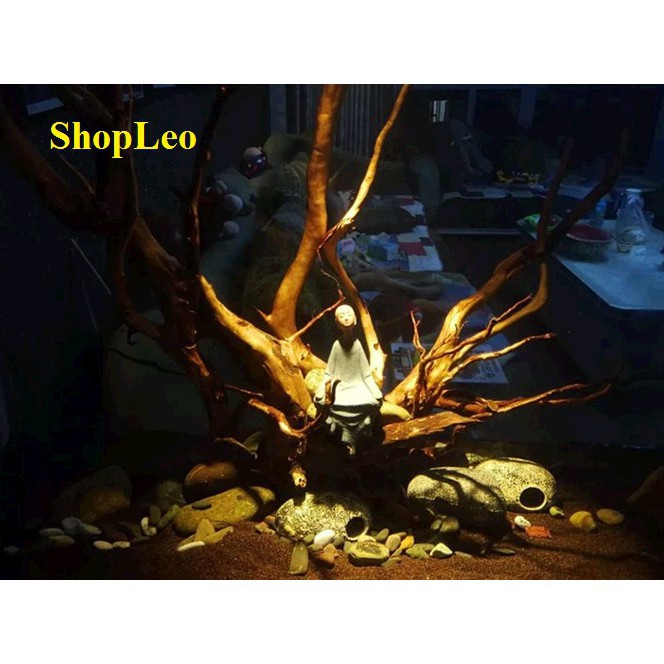 ĐÈN LED SIÊU RỌI 3W 3 CHẾ ĐỘ MÀU - ĐÈN RỌI BIOTOP