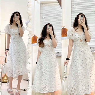 ĐẦM HOA RÚT NGỰC (KÈM VIDEO HÌNH THẬT)
