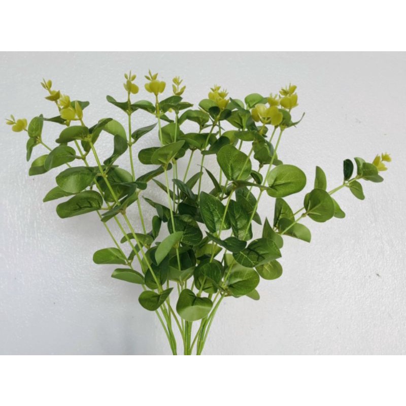 Cụm táo 16 nhánh 💥 Freeship💥_ lá điểm