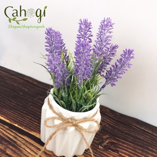 Cây giả- Chậu hoa Lavender để bàn