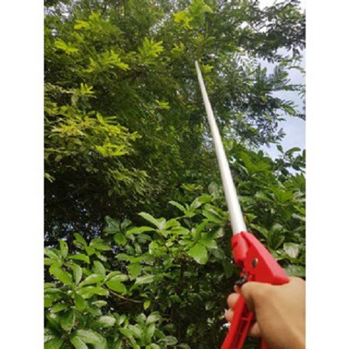kéo cắt tỉa cành cây trên cao ,kéo hái hoa quả 2m , 3m , 4m (màu đỏ)