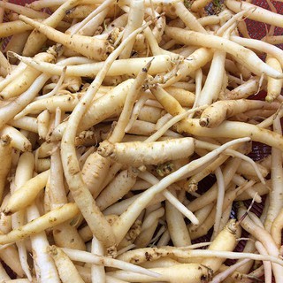 Củ Sâm Đất Khô - Loại 1 kg